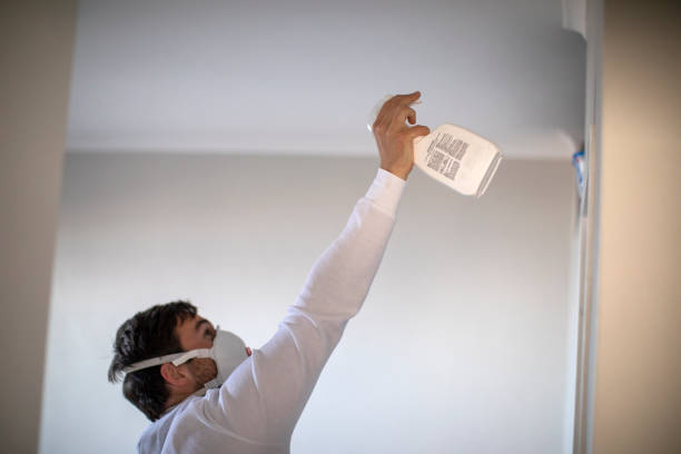 Best Mold Damage Repair  in Doa Ana, NM