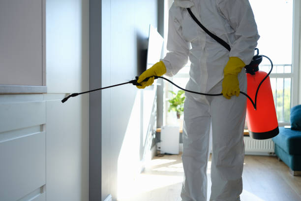 Best Commercial Mold Removal  in Doa Ana, NM