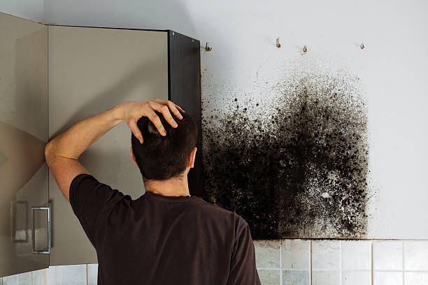 Best Crawl Space Mold Removal  in Doa Ana, NM